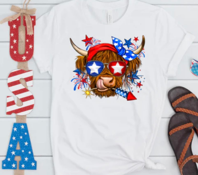PATRIOTIC COW WITH FIREWORK