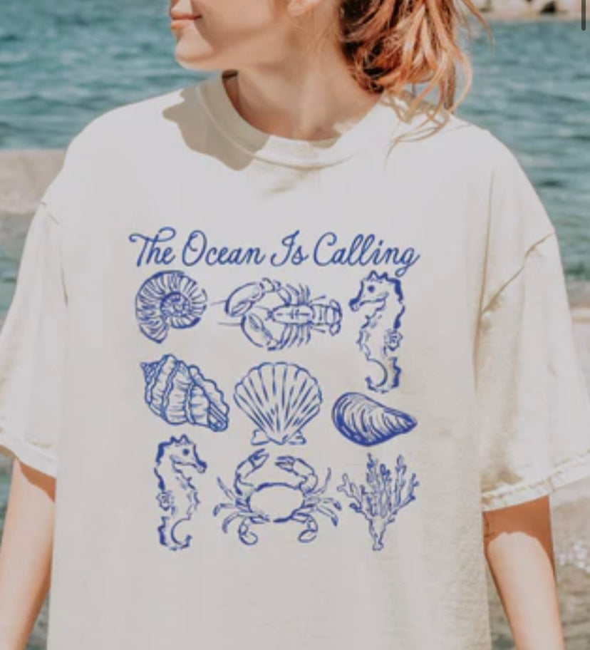 THE OCEAN IS CALLING