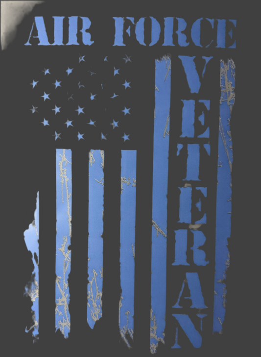 USAF VETERAN