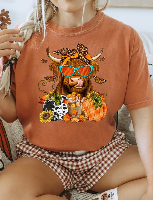 FALL HIGHLAND COW