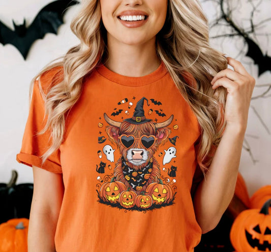 HIGHLAND COW AND PUMPKINS
